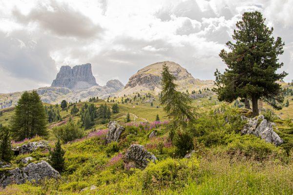 Sprehod po naravi – razstava fotografij Tomaža Zajca
