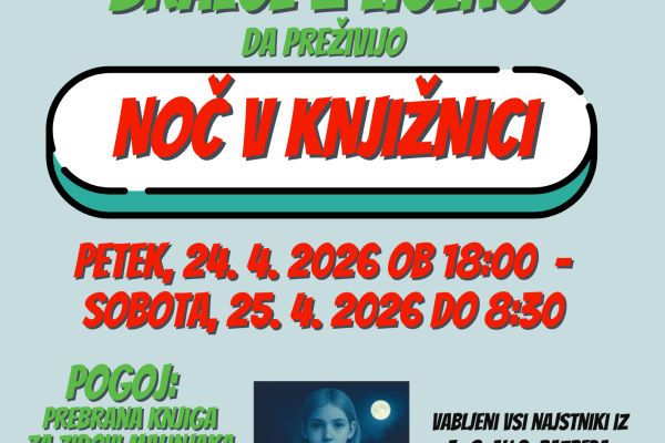 Noč v knjižnici za najstnike (Grosuplje)